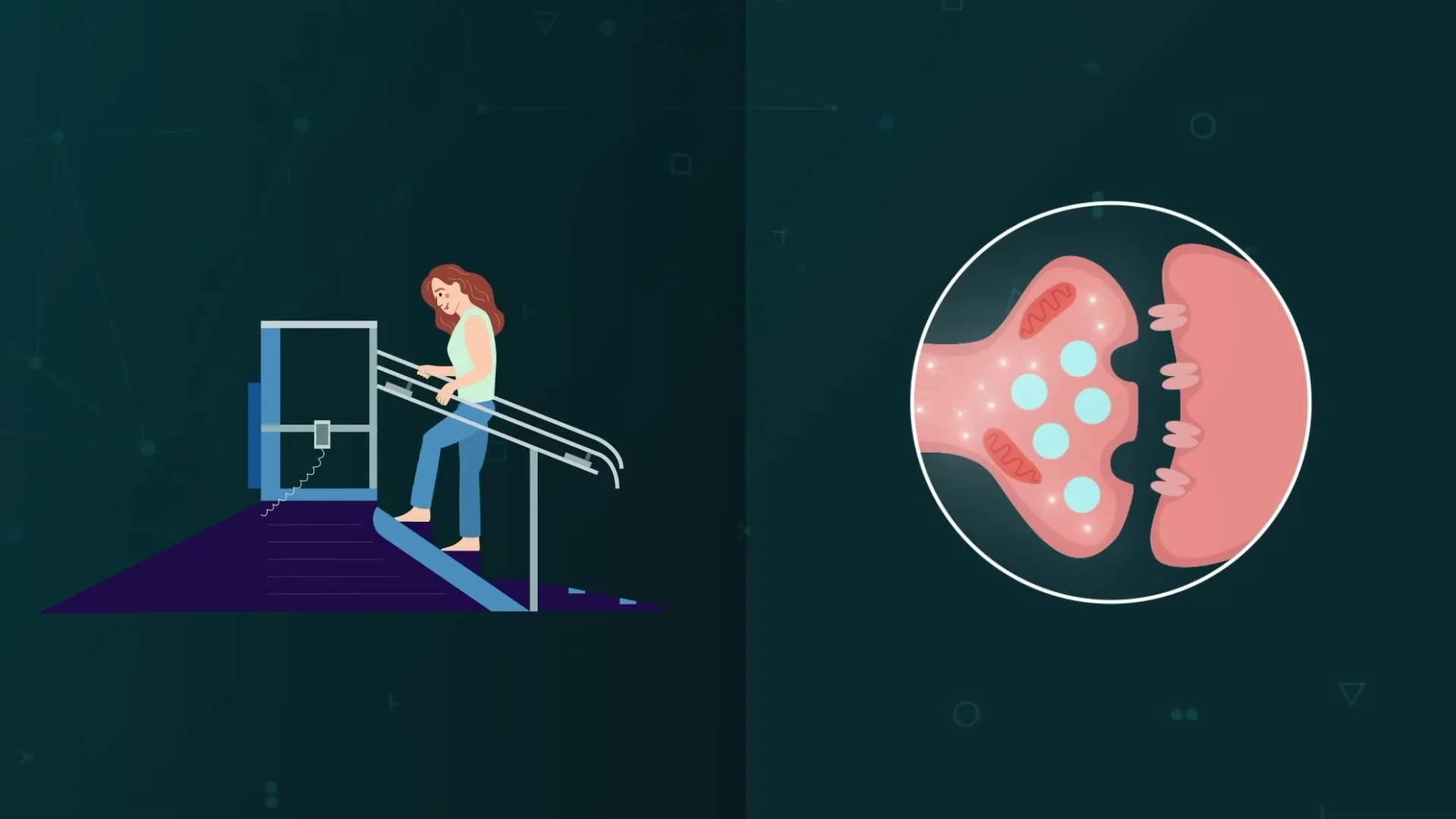 UNIFESP · Infografia Animada & Motion Design Científico para Conteúdos Médicos Complexos